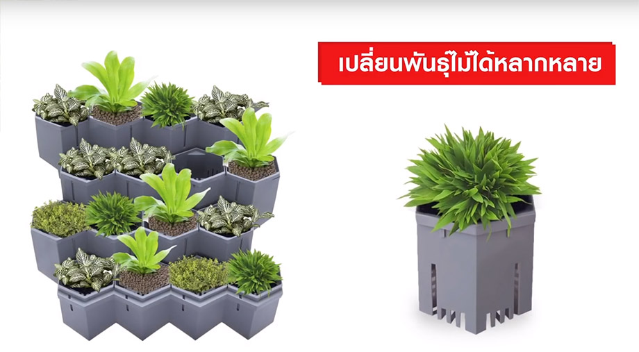 SCG Modular Green Hive ชุด DIY